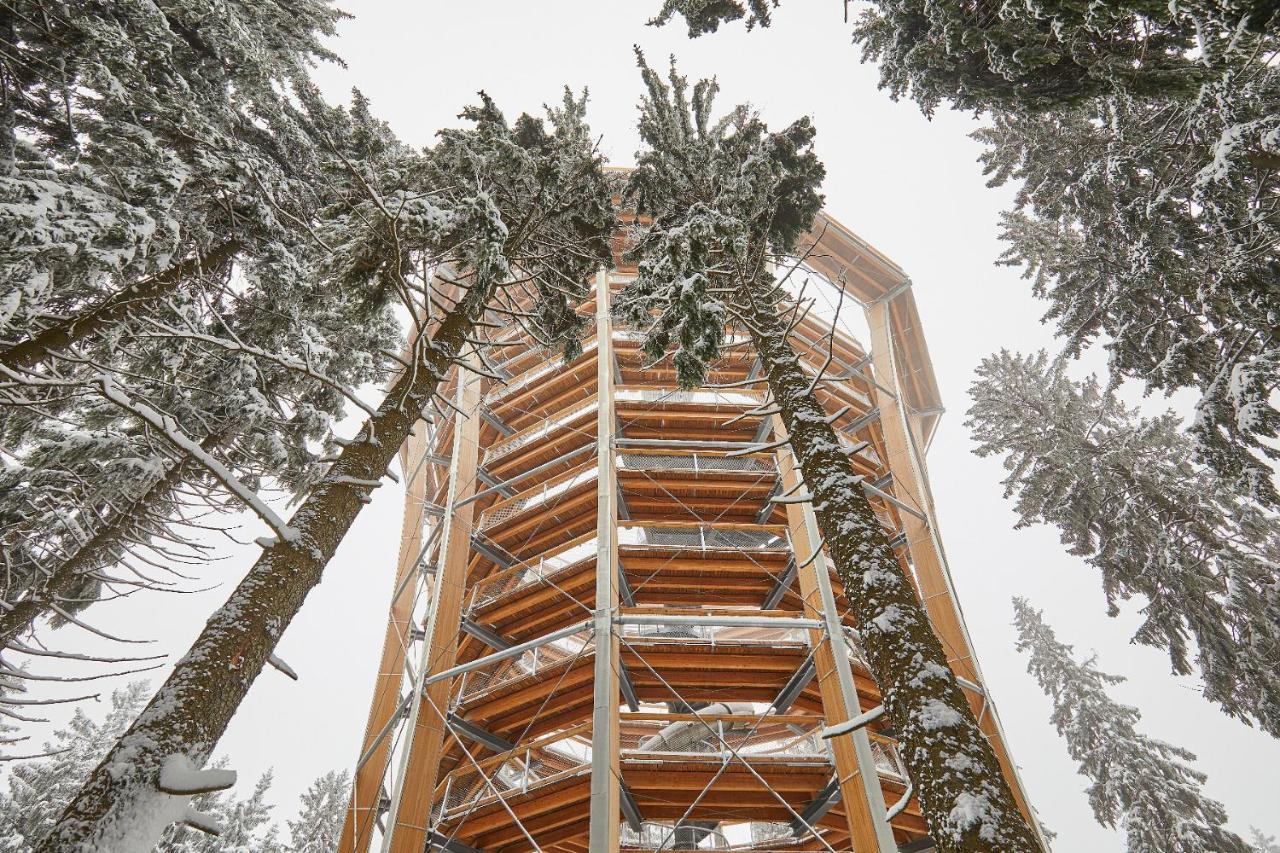 Ski Hotel Svoboda nad Úpou Exterior foto