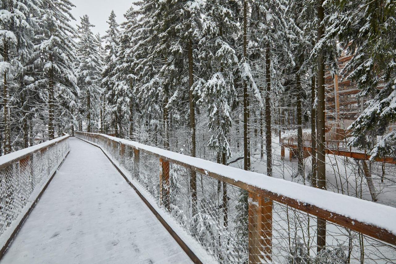 Ski Hotel Svoboda nad Úpou Exterior foto
